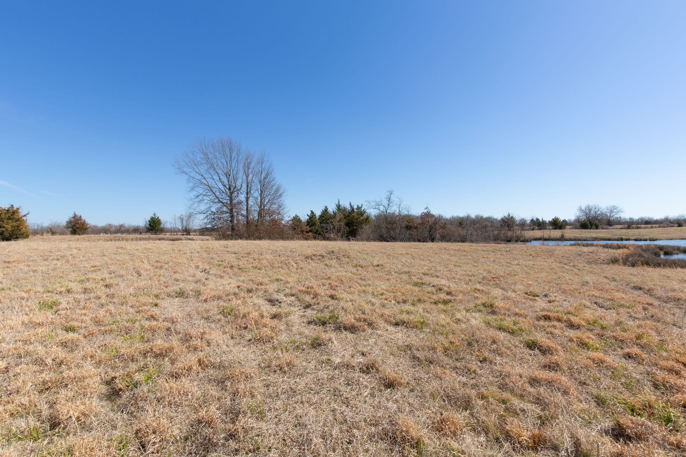 Wishing Star Ranch Tract 23 photo 4