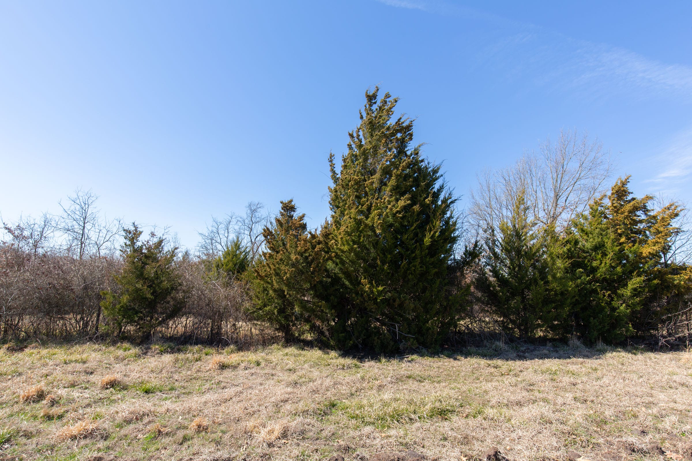 Wishing Star Ranch Tract 23 photo 6