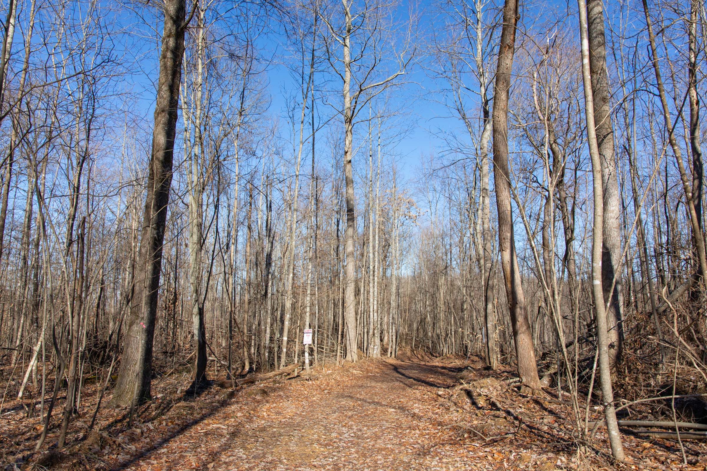 Blackstone Mountain Phase I Tract 20 photo 1