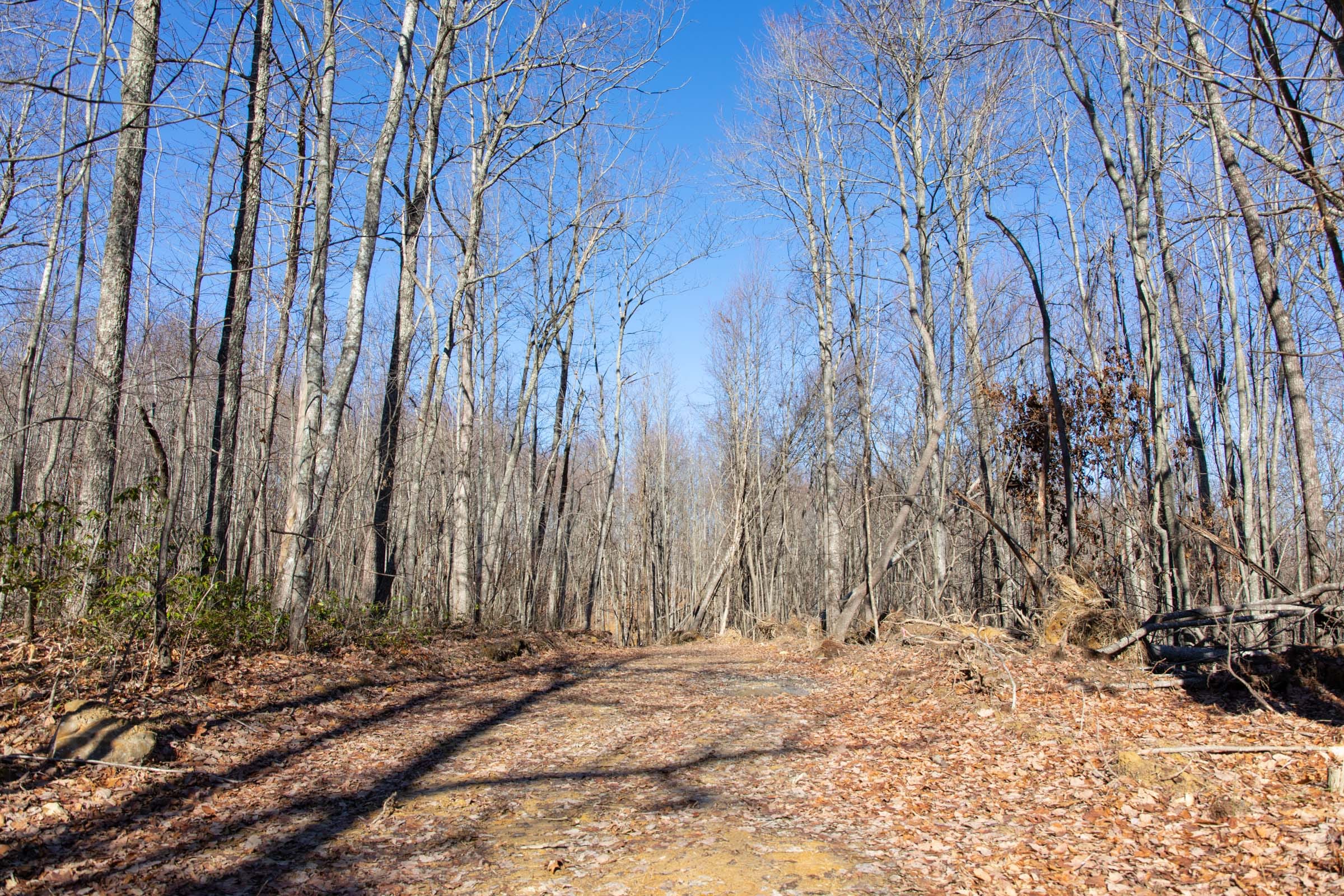 Blackstone Mountain Phase I Tract 20 photo 13