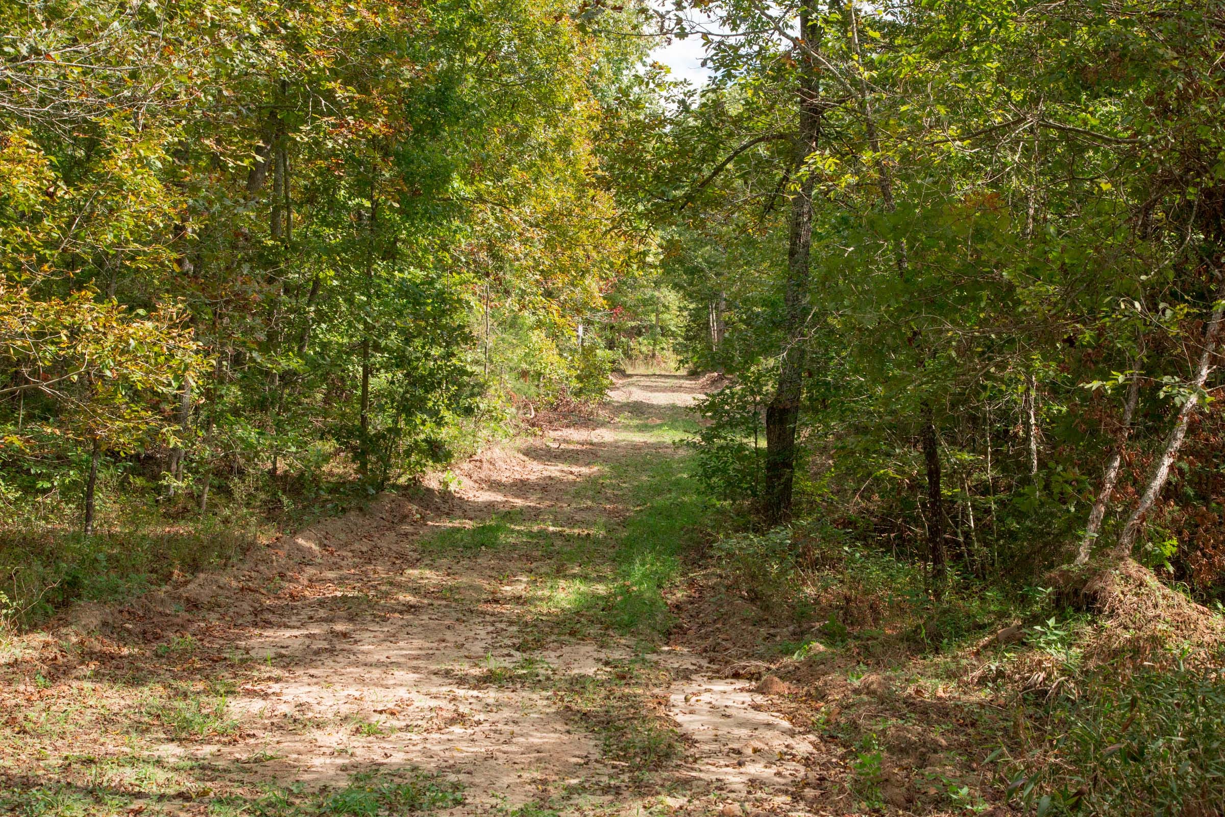 Wagon Wheel Ranch Tract 48 photo 3