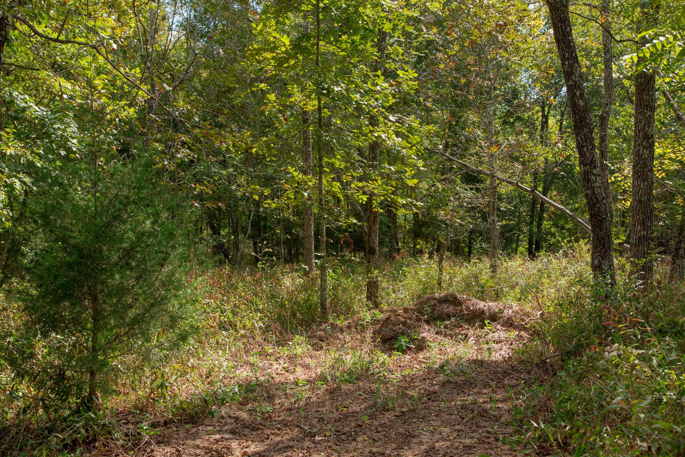 Wagon Wheel Ranch Tract 48 photo 4