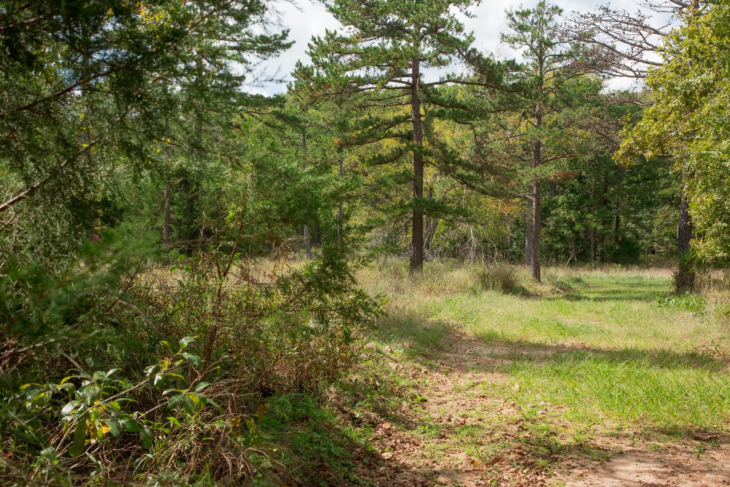 Wagon Wheel Ranch Tract 48 photo 5