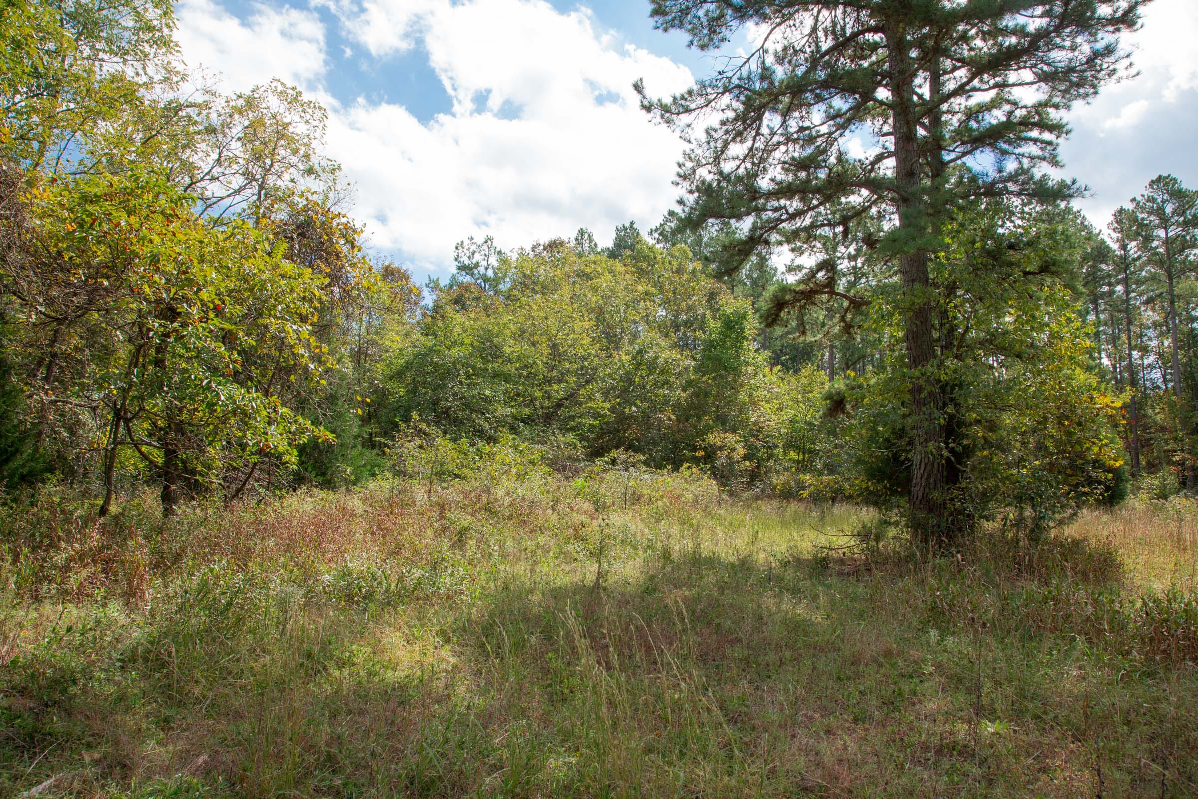 Wagon Wheel Ranch Tract 48 photo 2