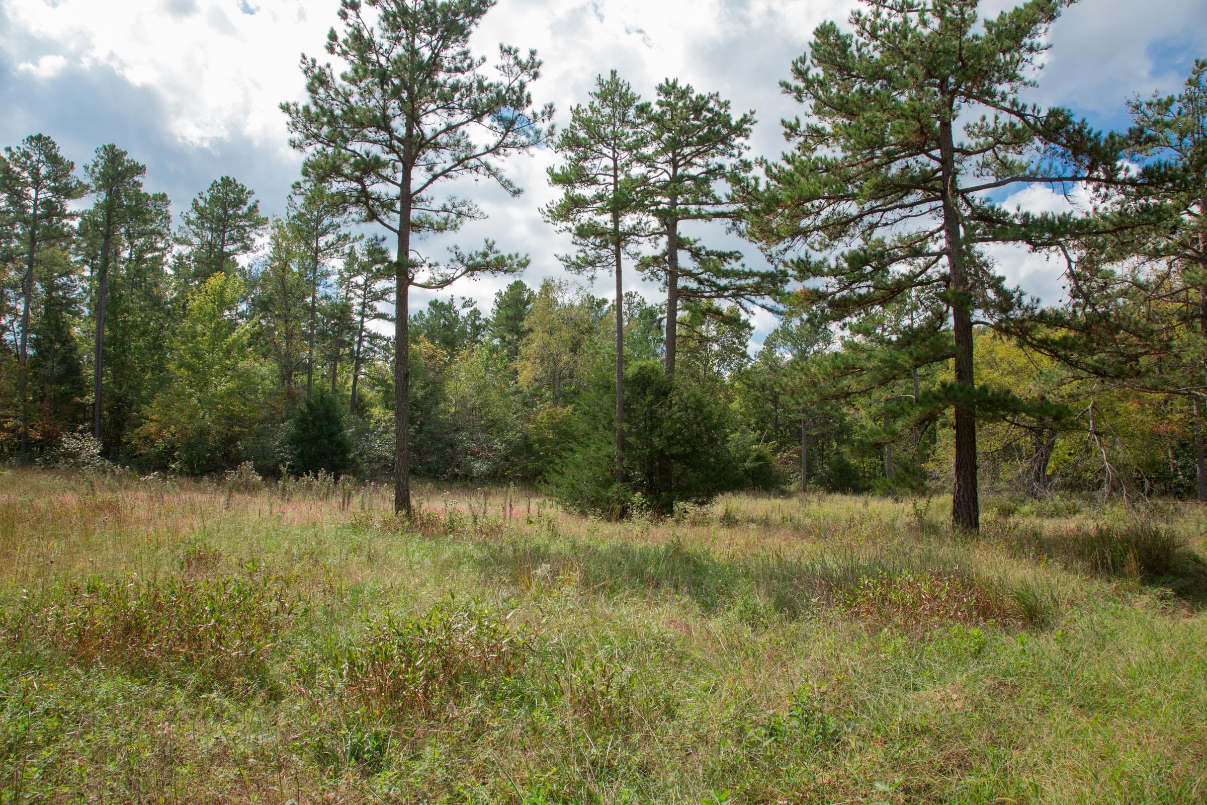Wagon Wheel Ranch Tract 48 photo 6