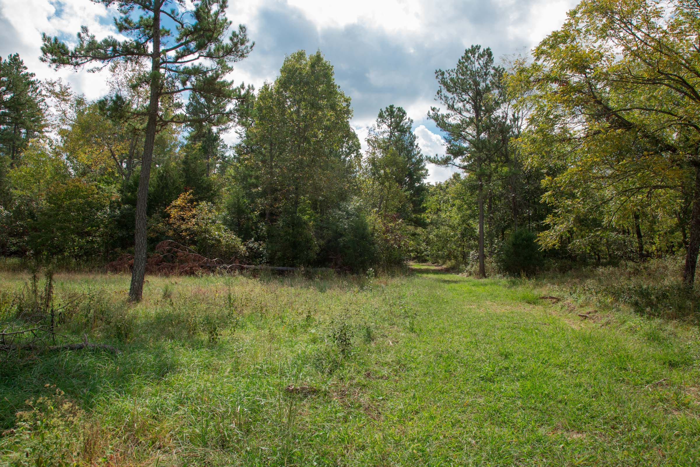 Wagon Wheel Ranch Tract 48 photo 7