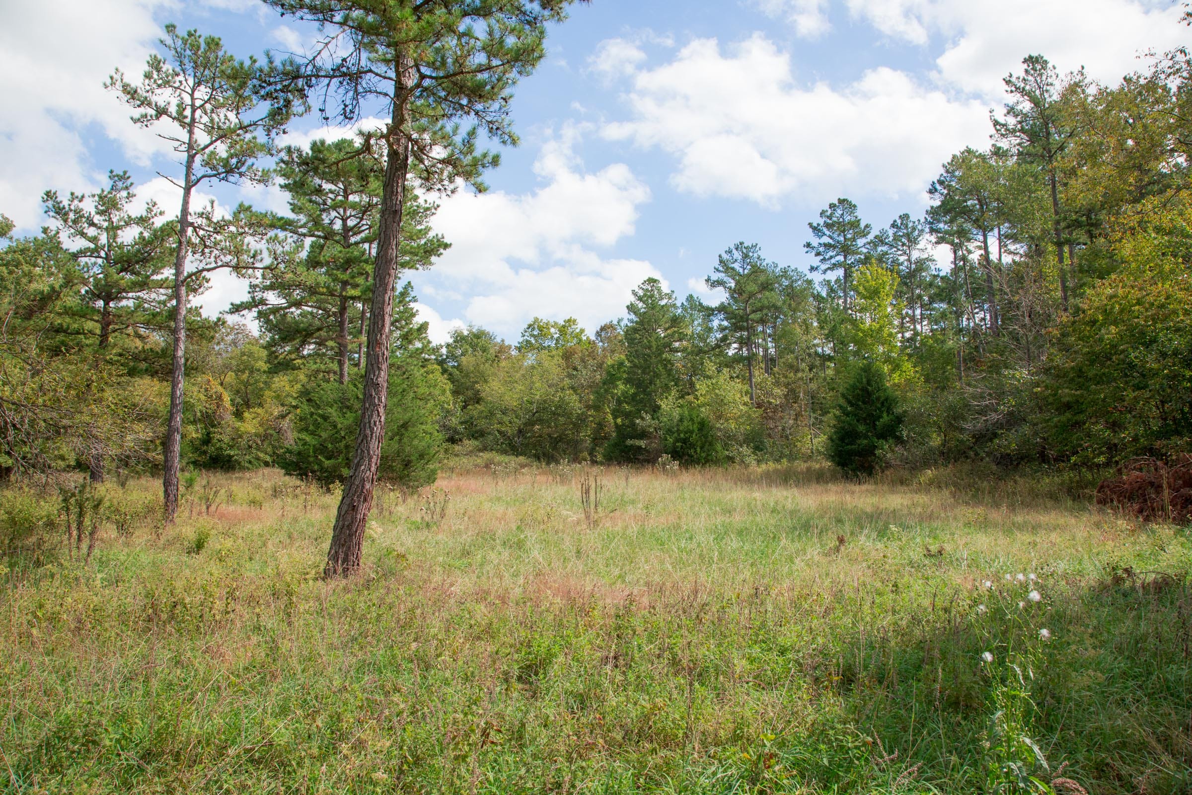 Wagon Wheel Ranch Tract 48 photo 8