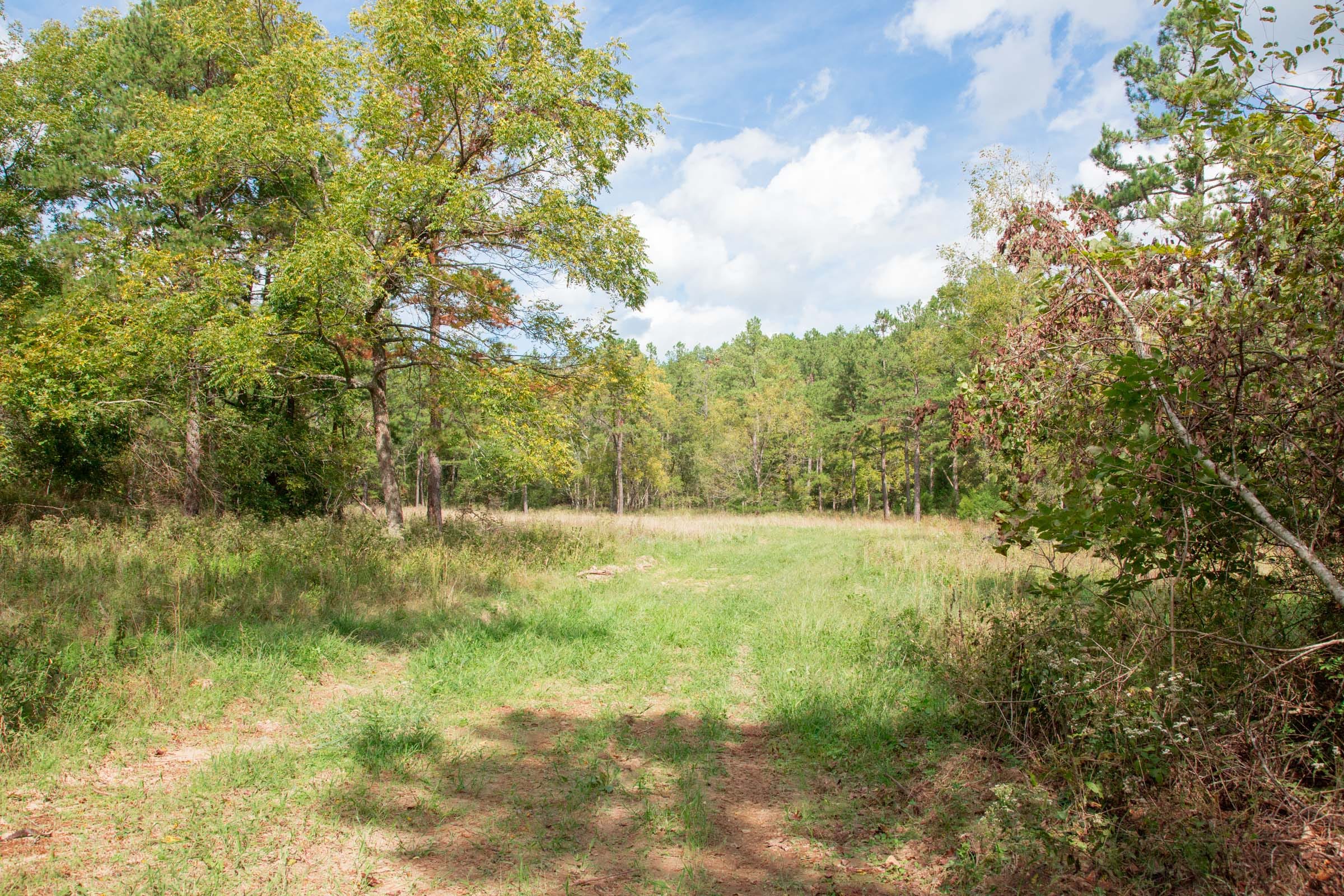 Wagon Wheel Ranch Tract 48 photo 1