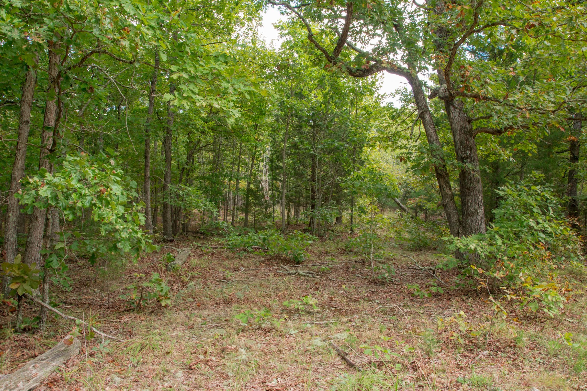 Wagon Wheel Ranch Tract 48 photo 12