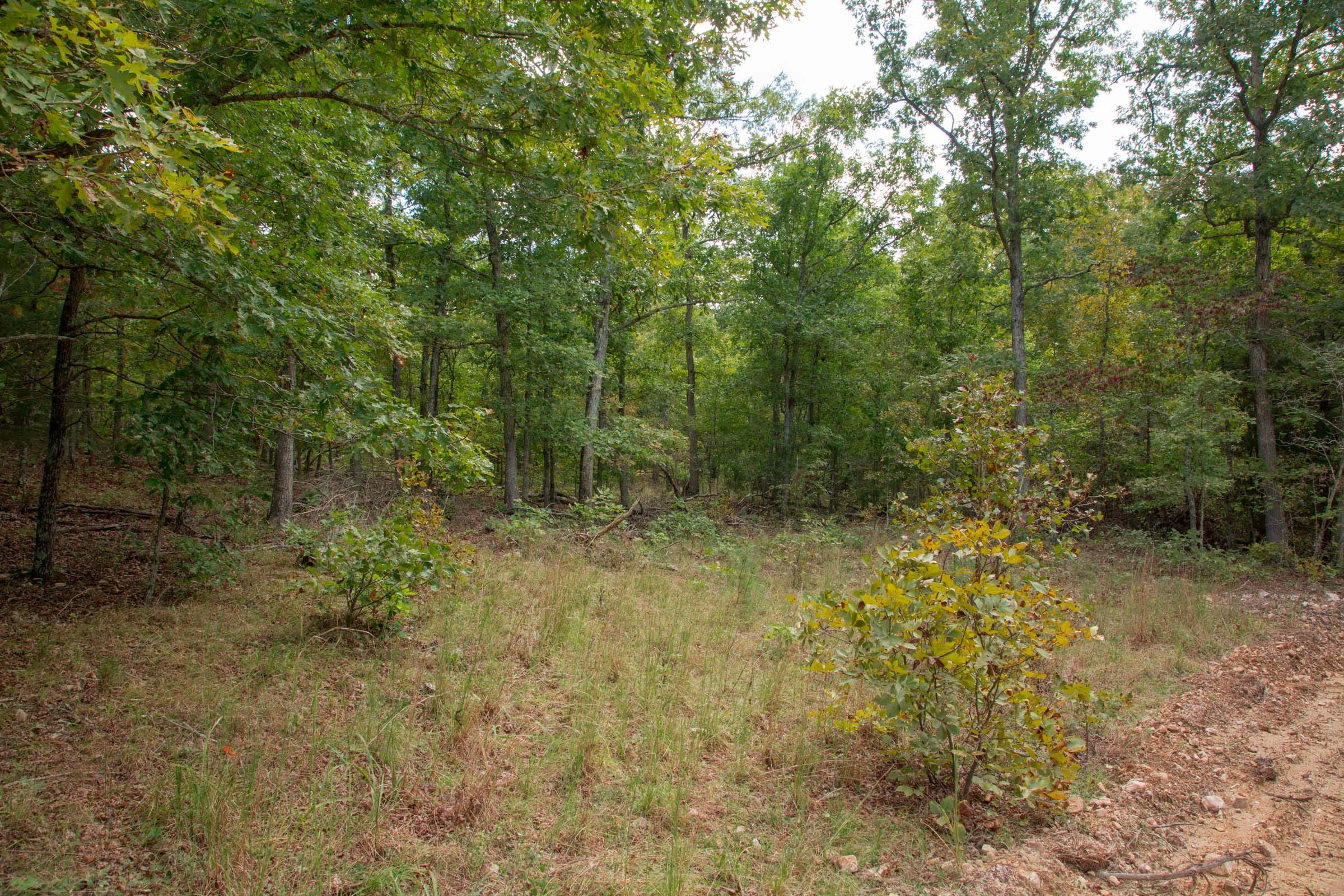 Wagon Wheel Ranch Tract 48 photo 13