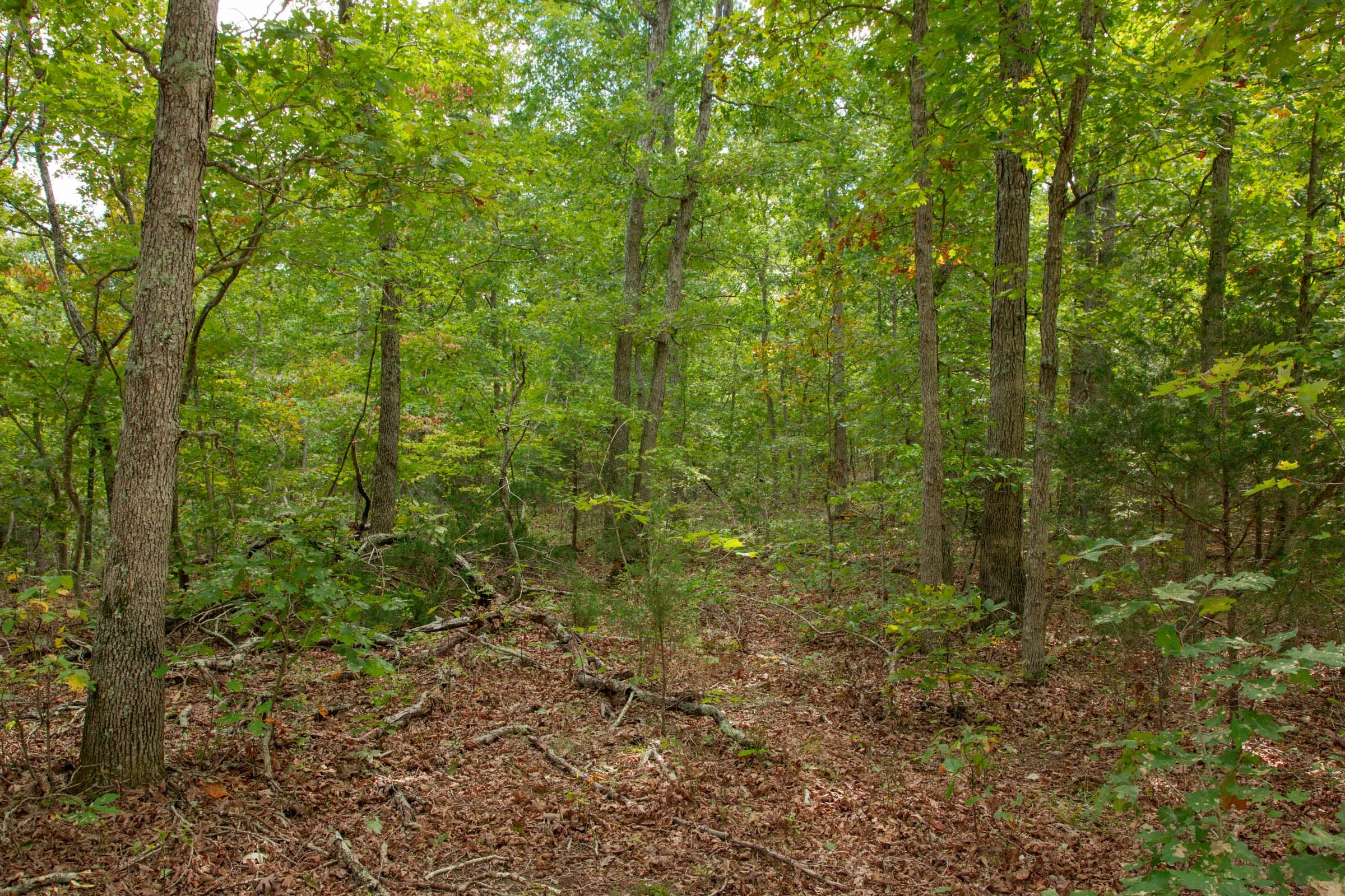 Wagon Wheel Ranch Tract 48 photo 14