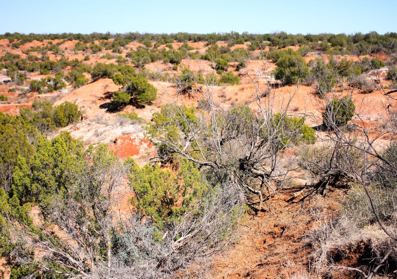 Red Rock Ranch Tract 7 photo 4