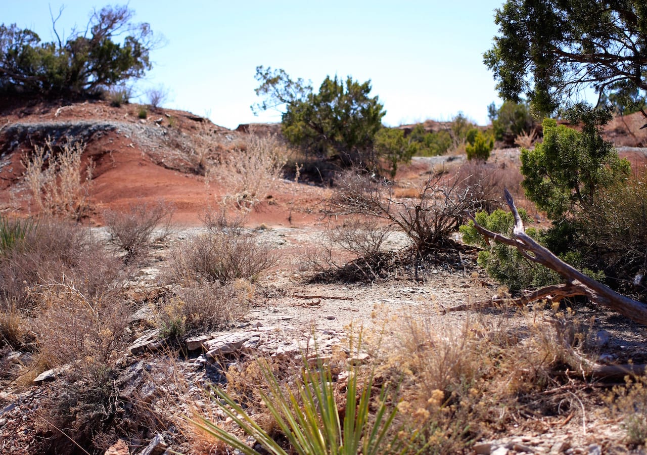 Red Rock Ranch Tract 7 photo 11