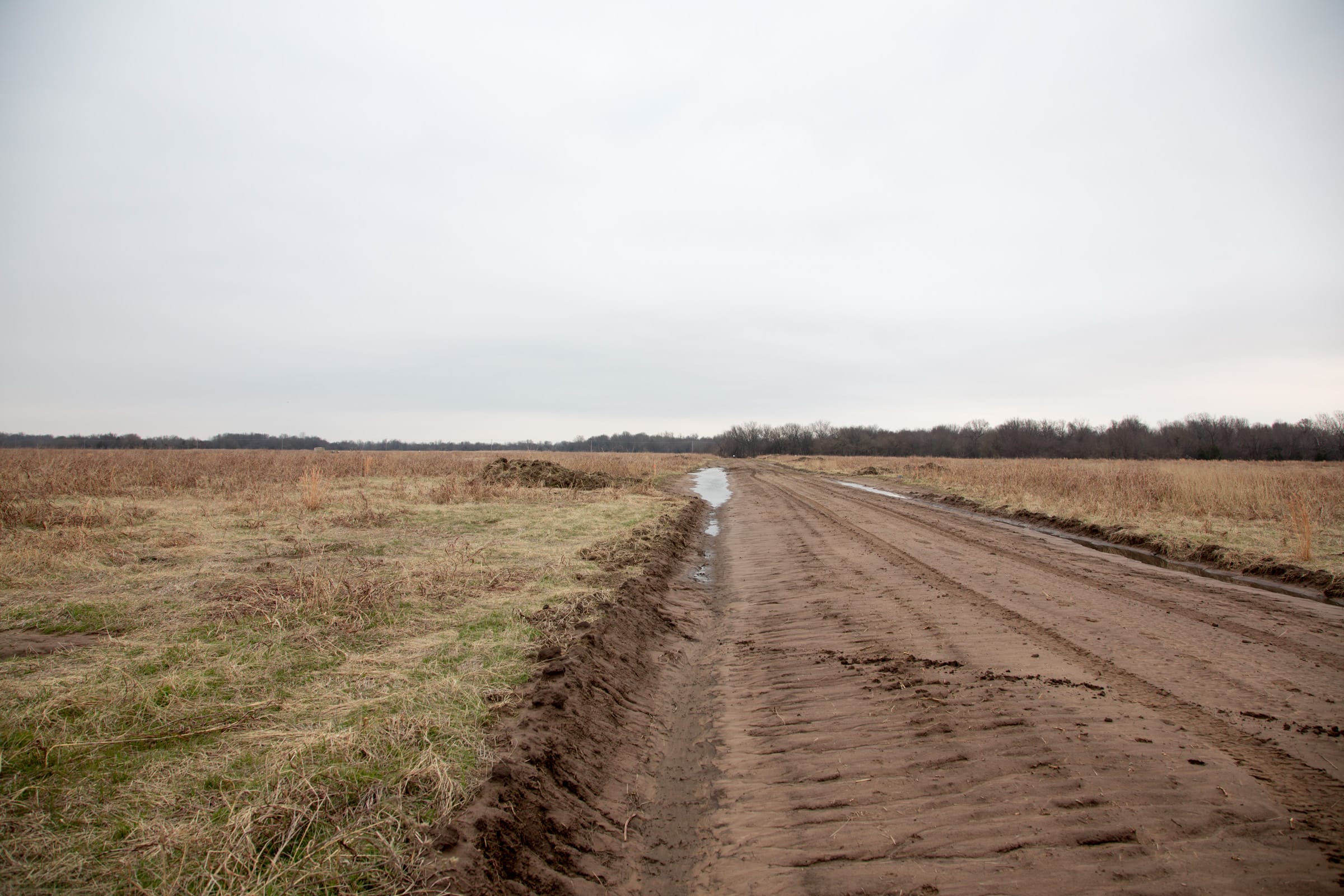 Canadian Plains Tract 45 photo 11