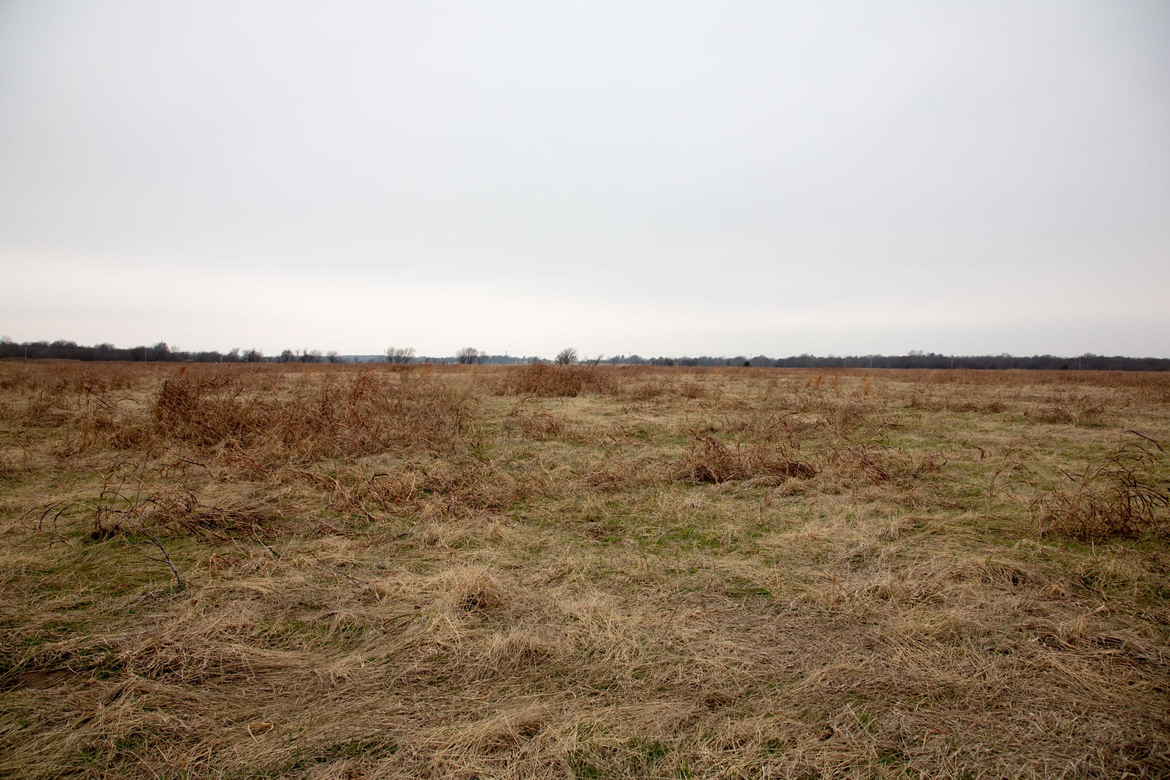 Canadian Plains Tract 45 photo 3