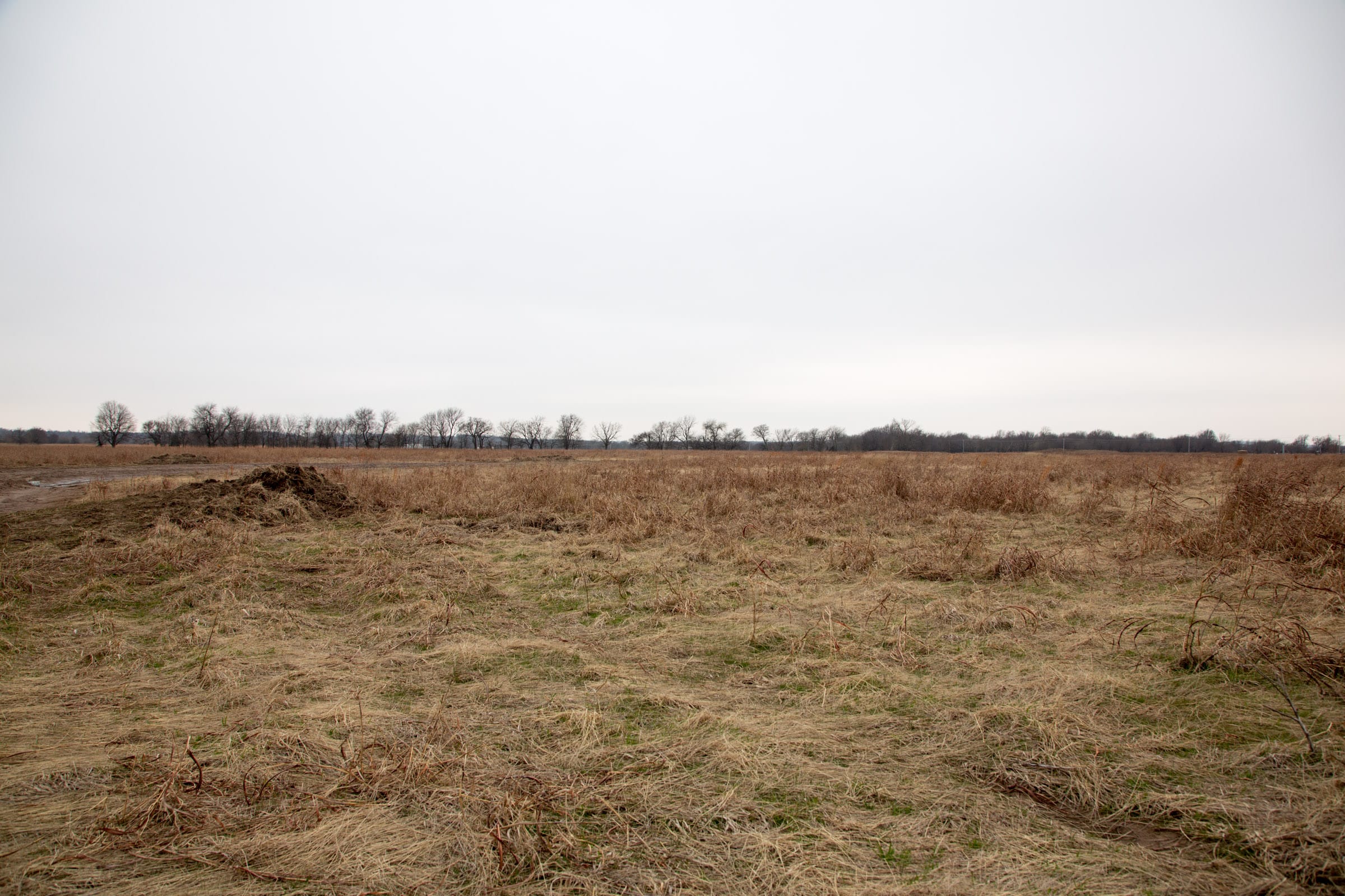 Canadian Plains Tract 45 photo 4