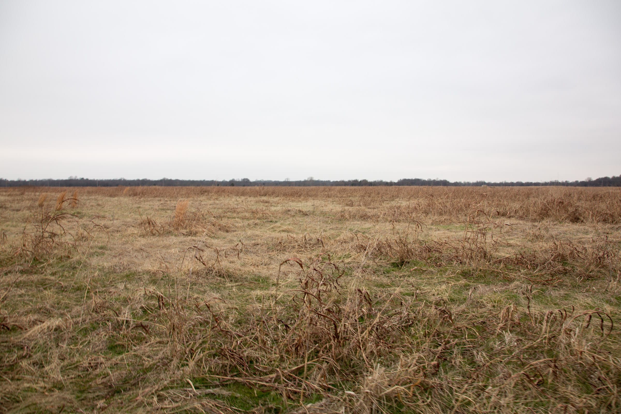 Canadian Plains Tract 45 photo 5