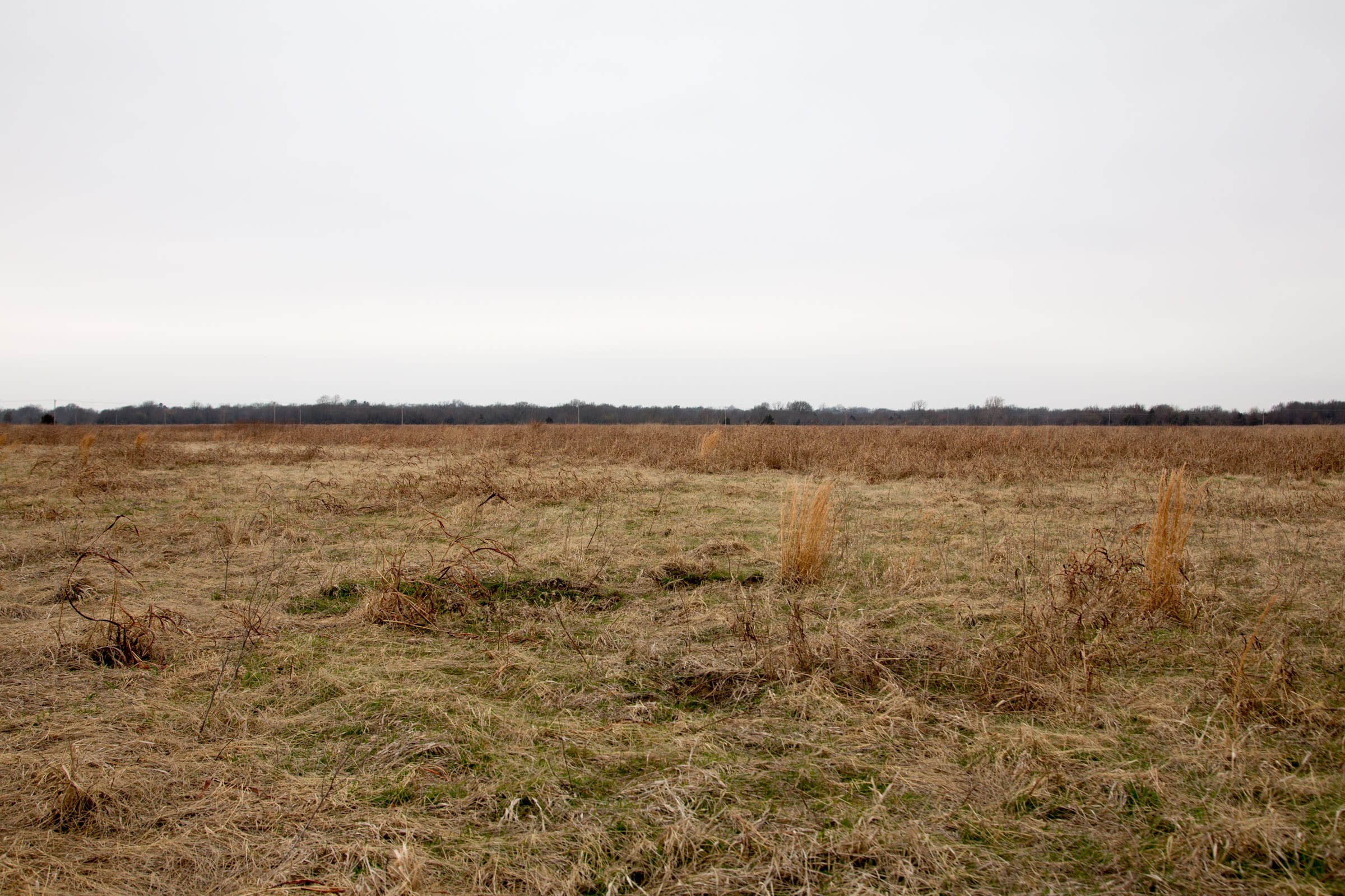 Canadian Plains Tract 45 photo 7