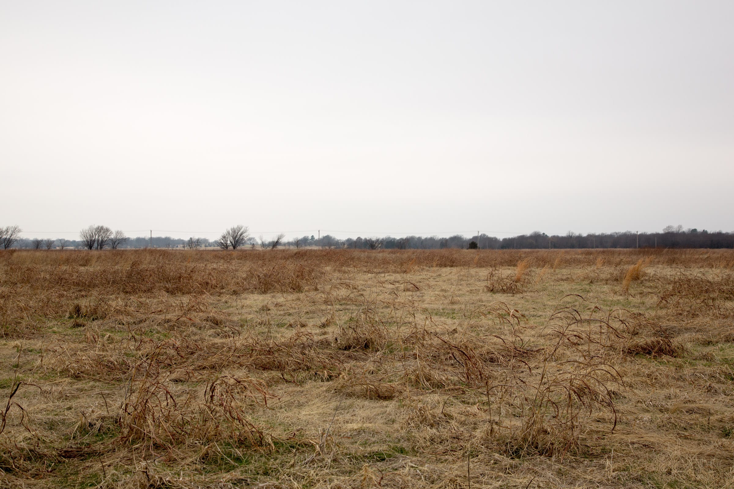 Canadian Plains Tract 45 photo 8