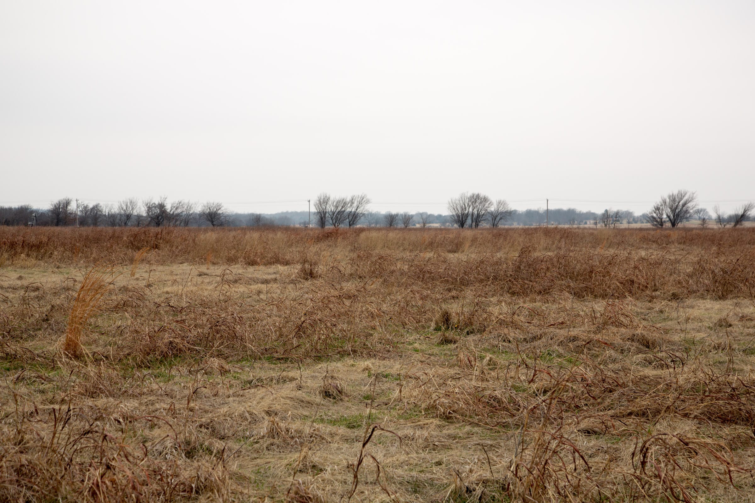 Canadian Plains Tract 45 photo 9