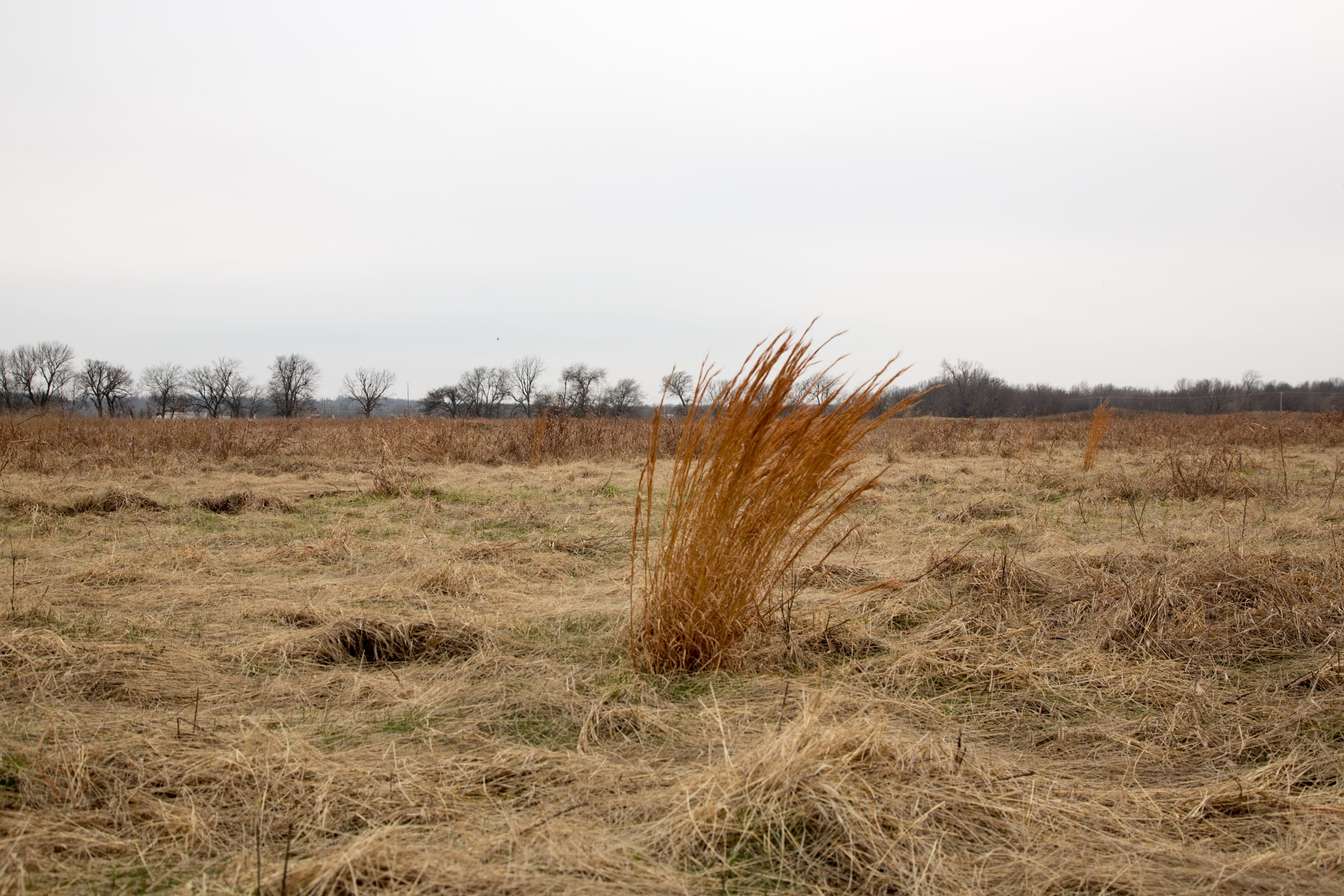 Canadian Plains Tract 45 photo 10