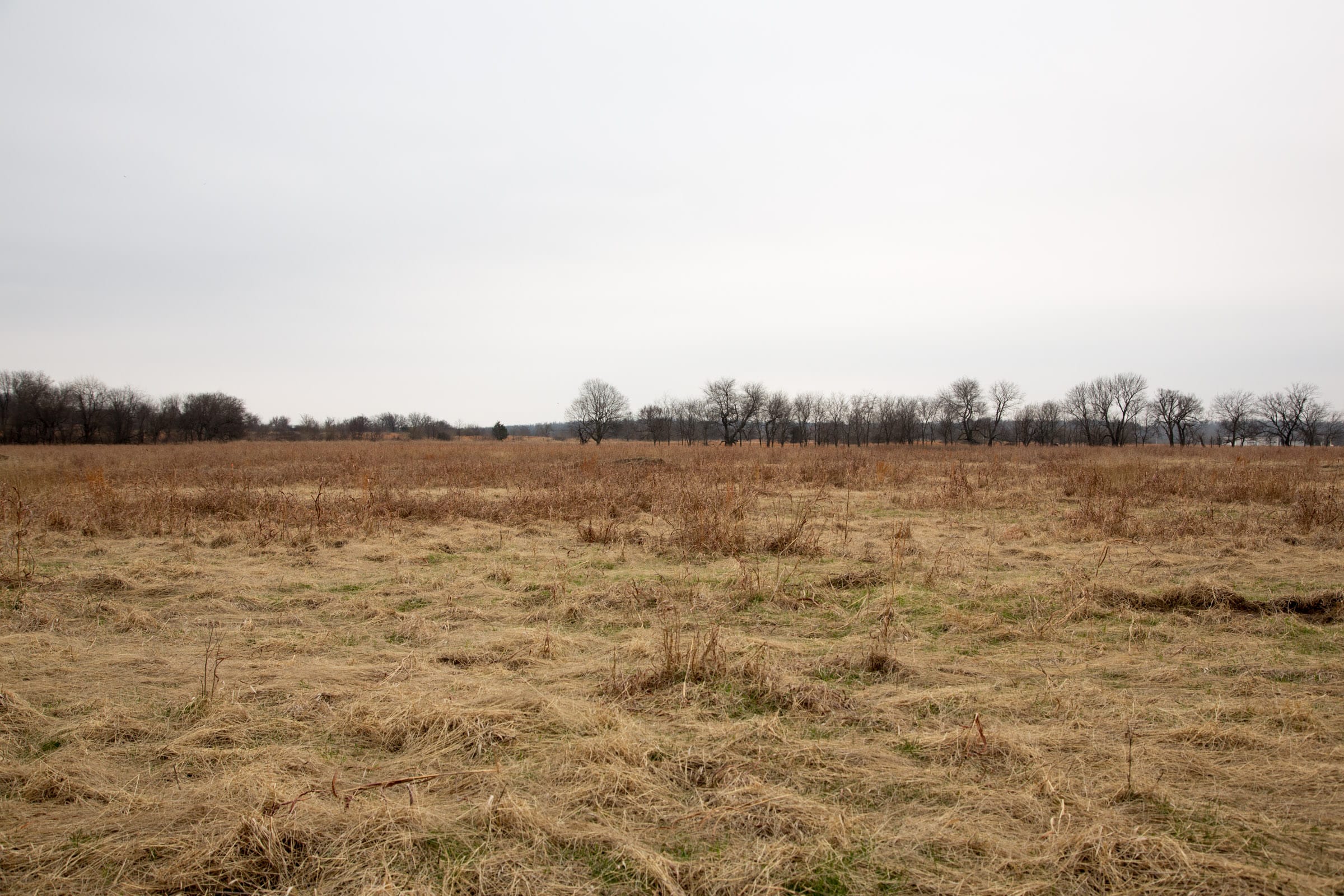 Canadian Plains Tract 45 photo 12