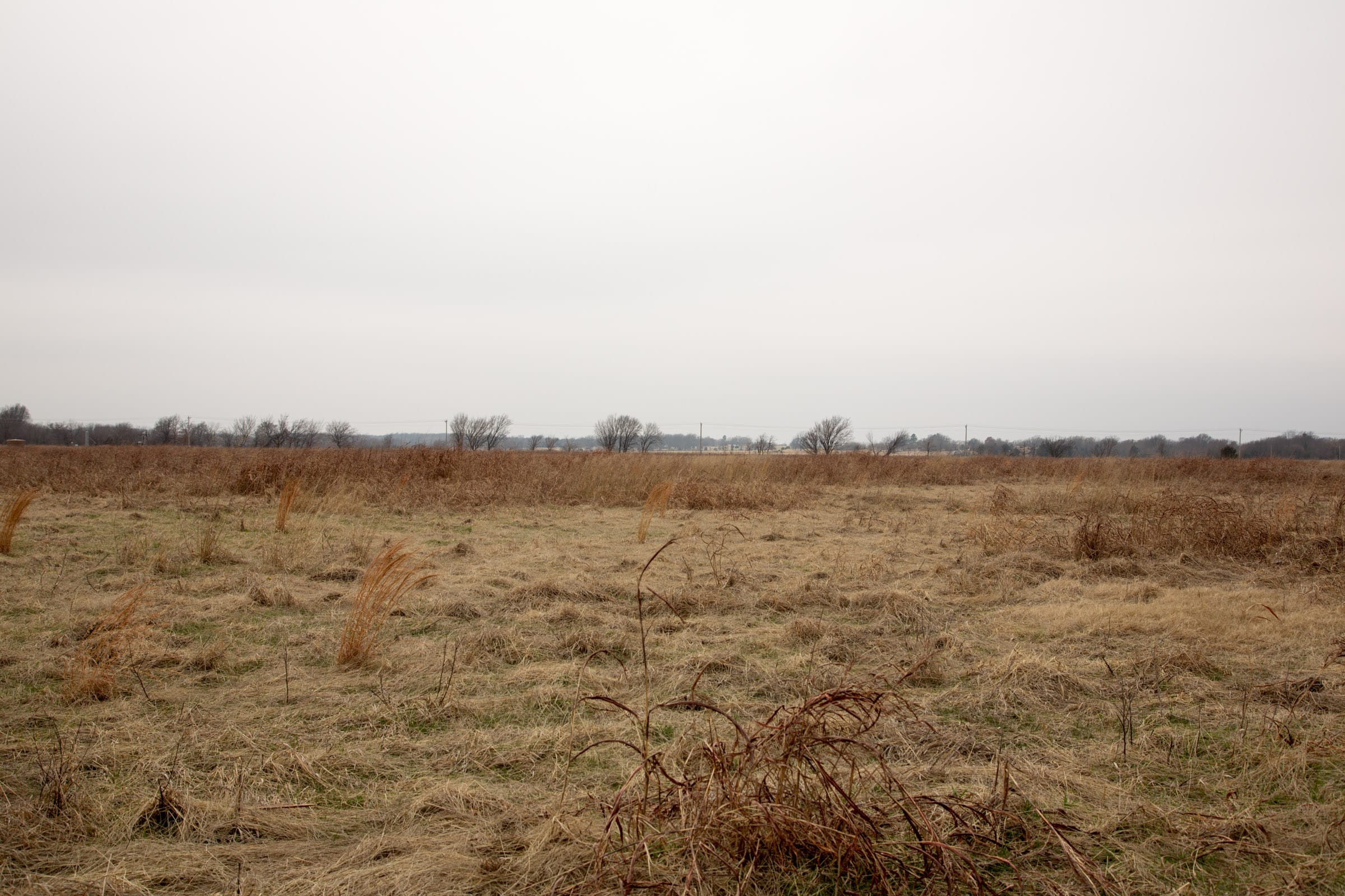 Canadian Plains Tract 45 photo 13