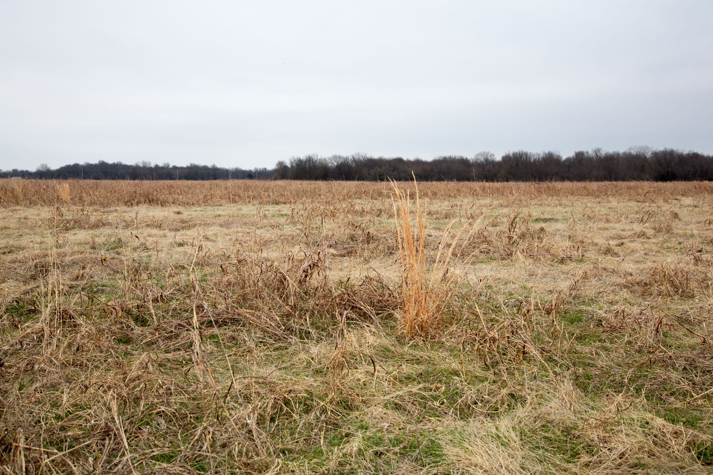 Canadian Plains Tract 45 photo 14