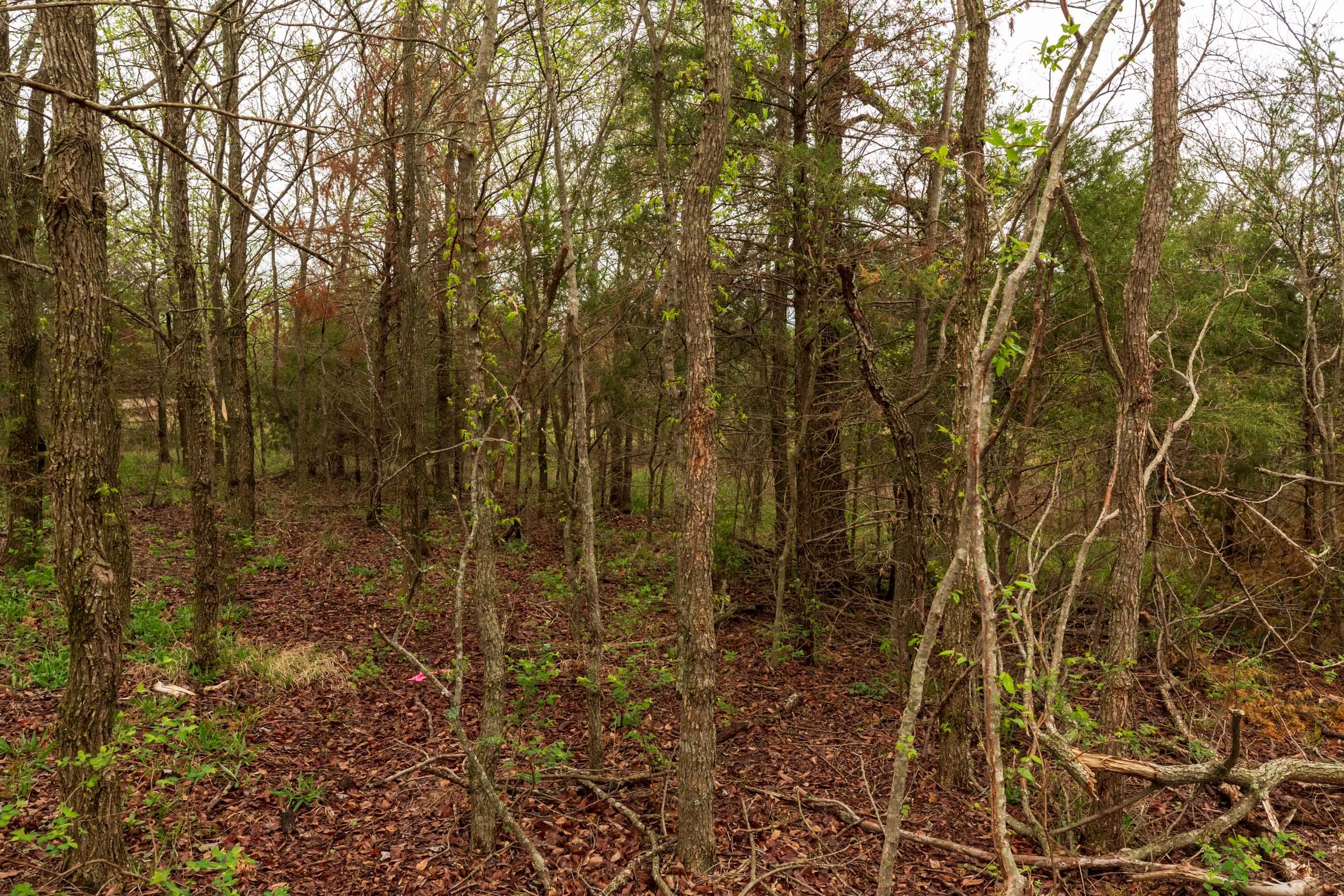 Moonrise Meadows Tract 9 photo 5