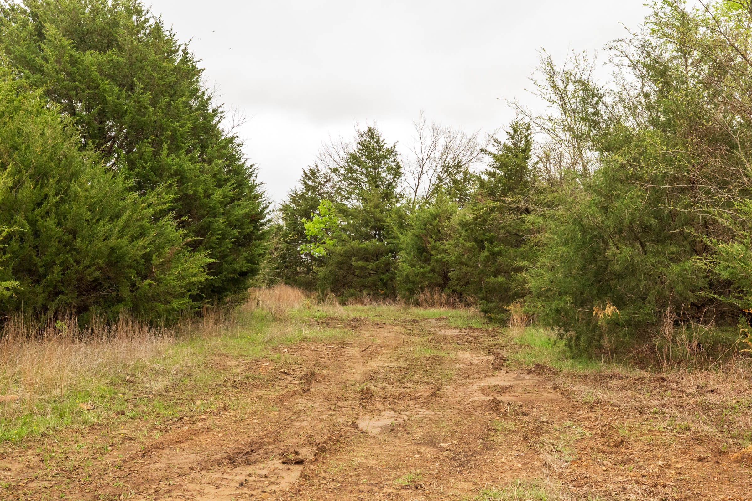 Moonrise Meadows Tract 9 photo 9