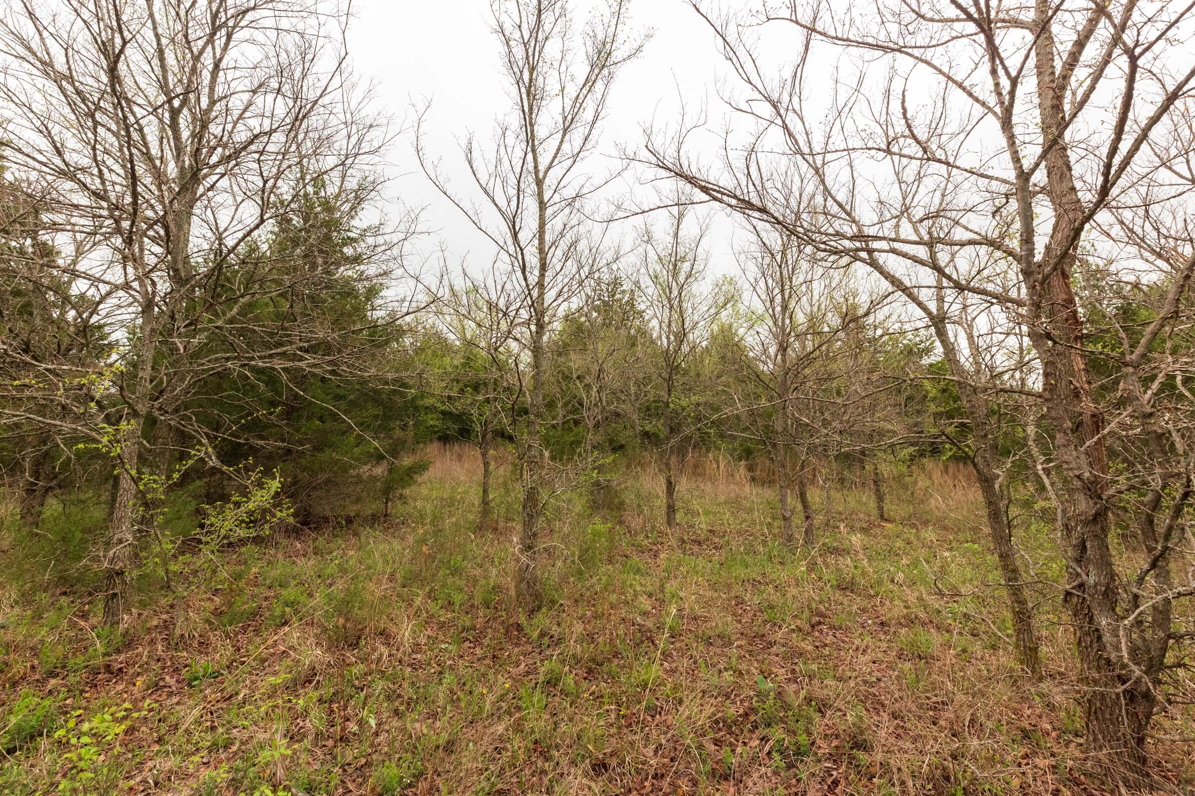 Moonrise Meadows Tract 9 photo 8