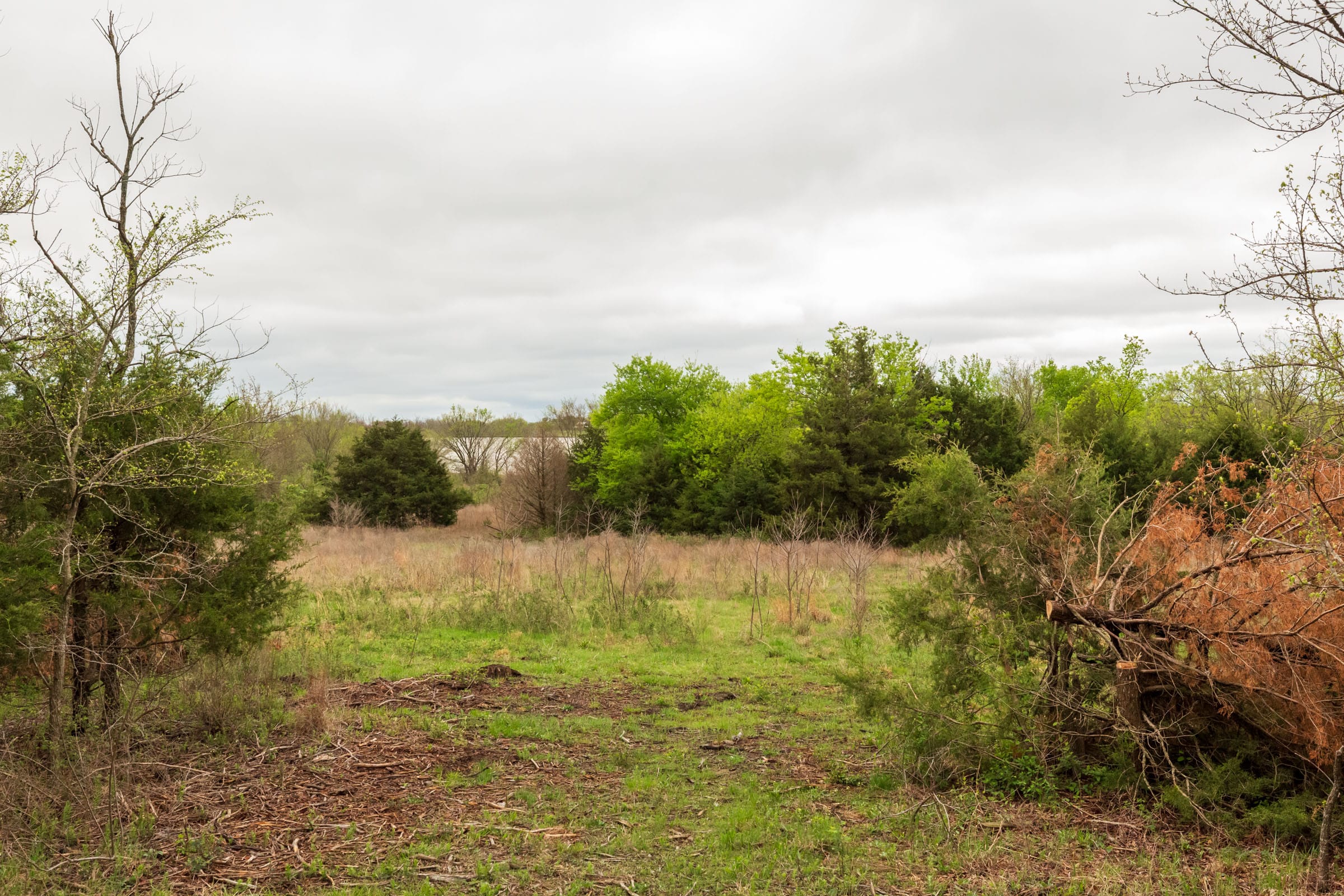Moonrise Meadows Tract 9 photo 3