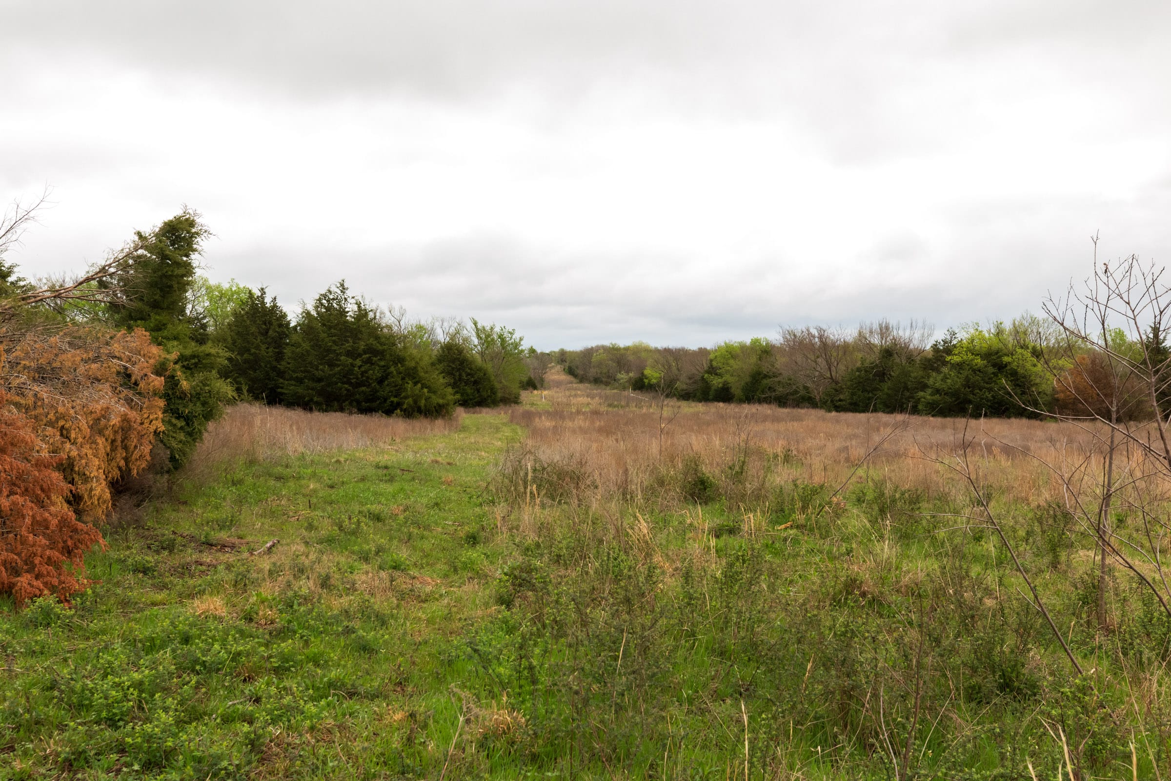 Moonrise Meadows Tract 9 photo 14