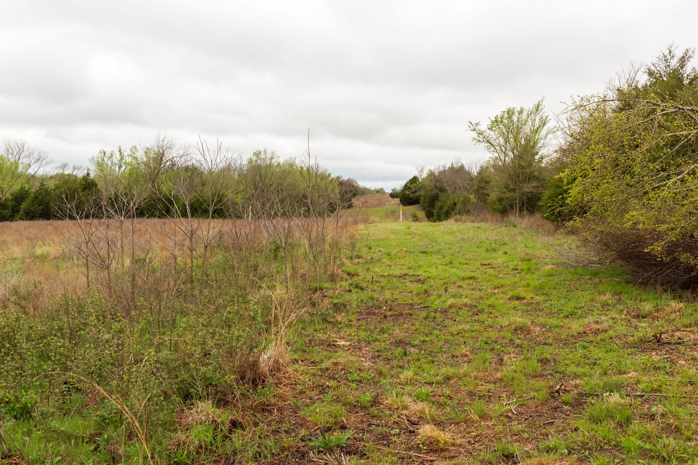 Moonrise Meadows Tract 9 photo 10