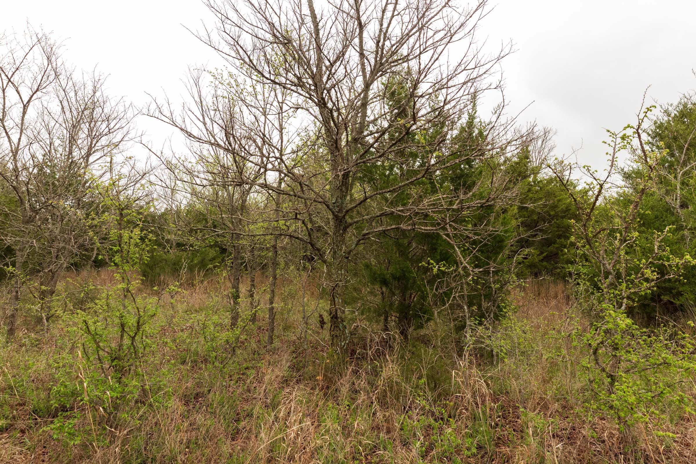 Moonrise Meadows Tract 9 photo 13