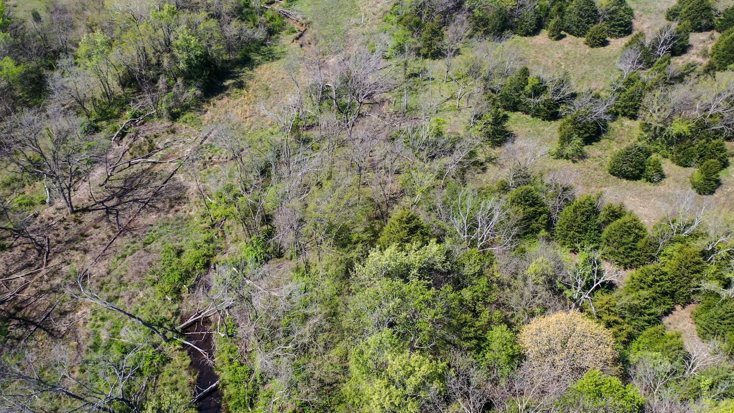 Moonrise Meadows Tract 9 photo 16