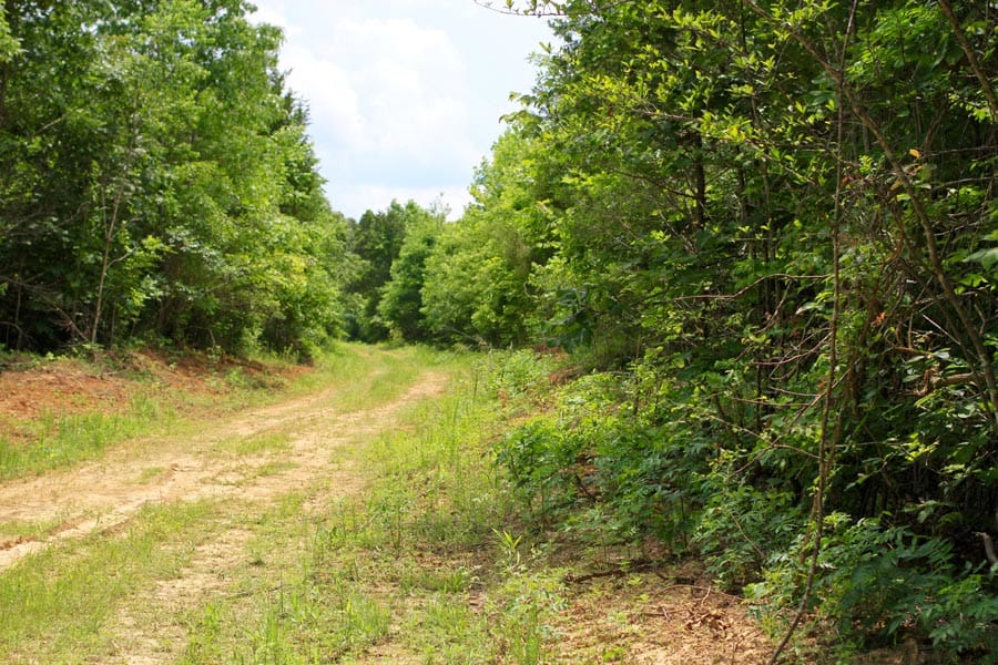 Bluebird Ranch Tract 21 photo 2