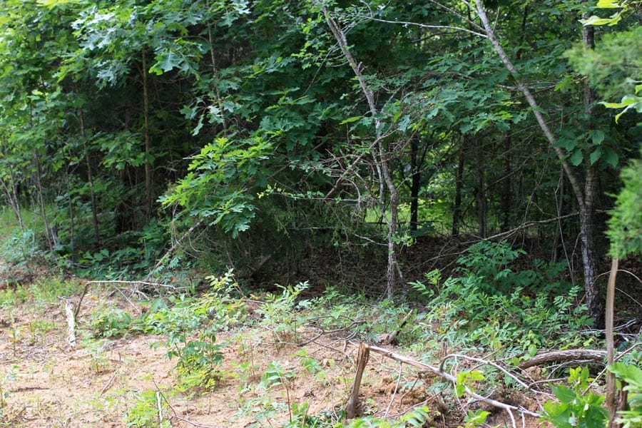 Bluebird Ranch Tract 21 photo 5