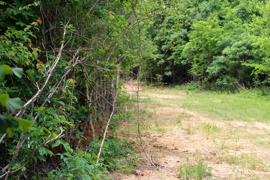 Bluebird Ranch Tract 21 photo 6
