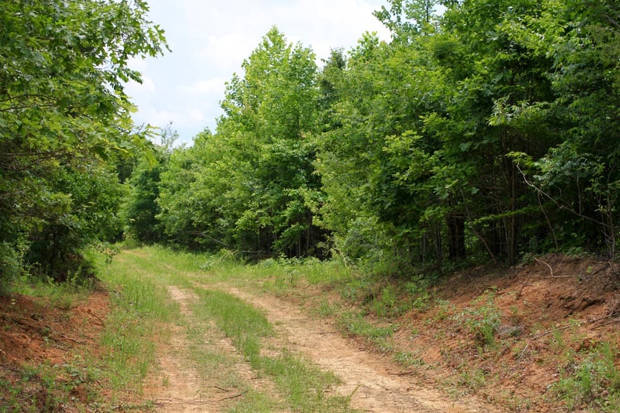 Bluebird Ranch Tract 21 photo 7