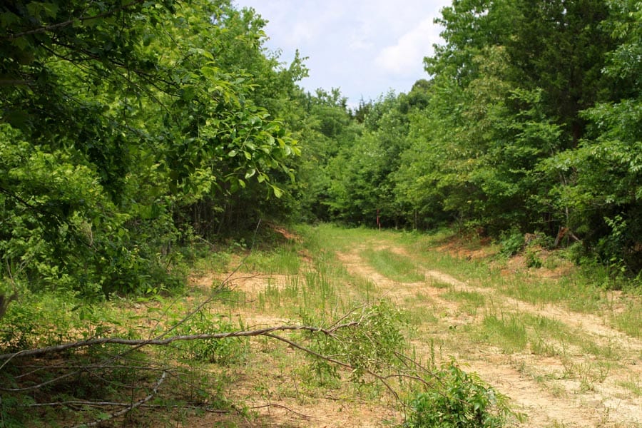 Bluebird Ranch Tract 21 photo 14
