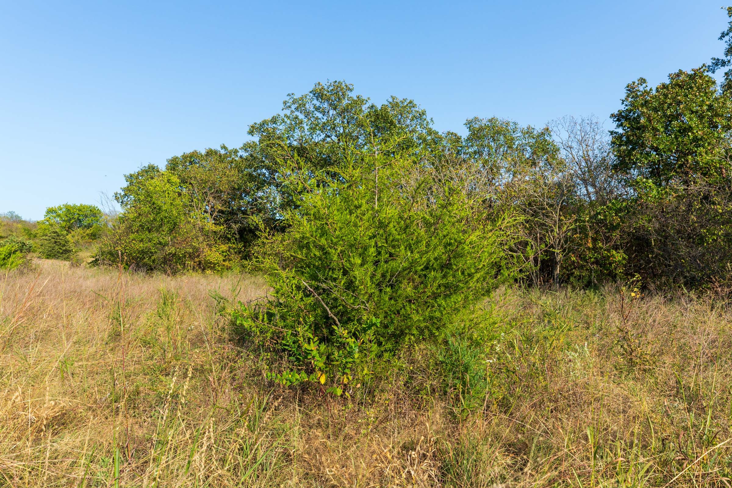 Canyon Creek Tract 10 photo 3