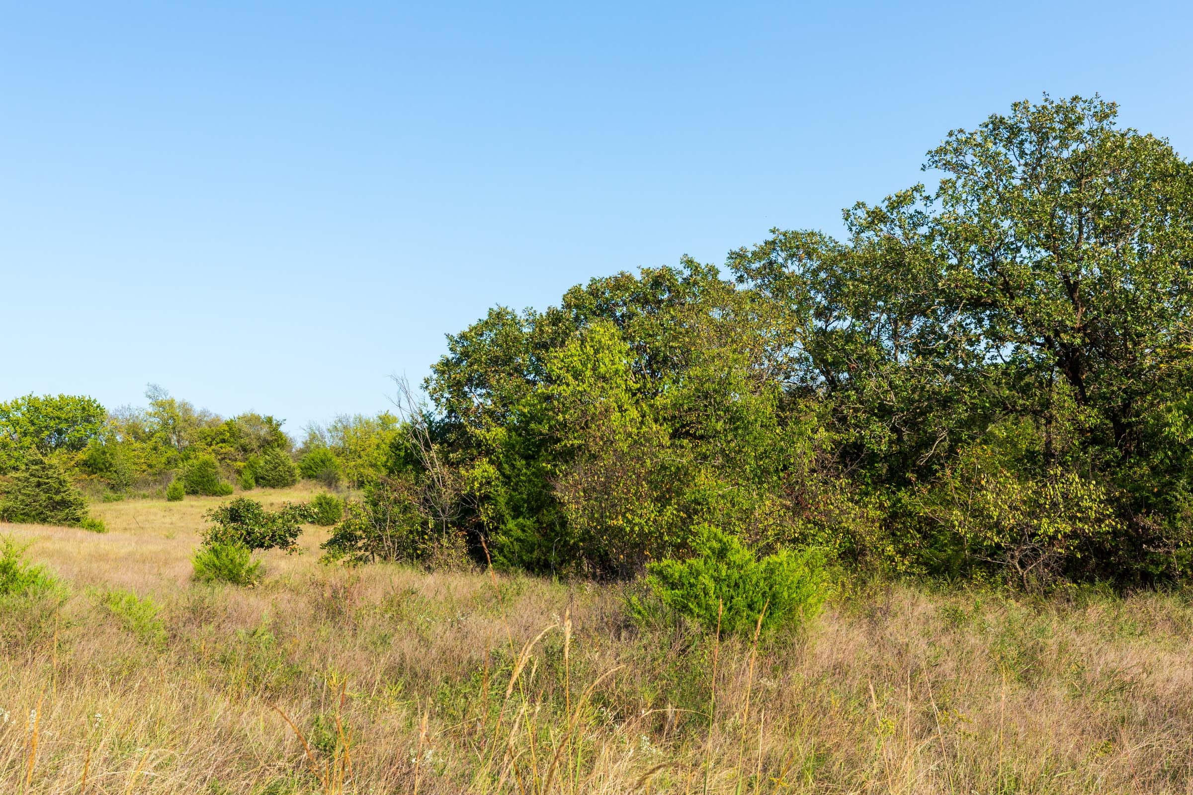 Canyon Creek Tract 10 photo 4