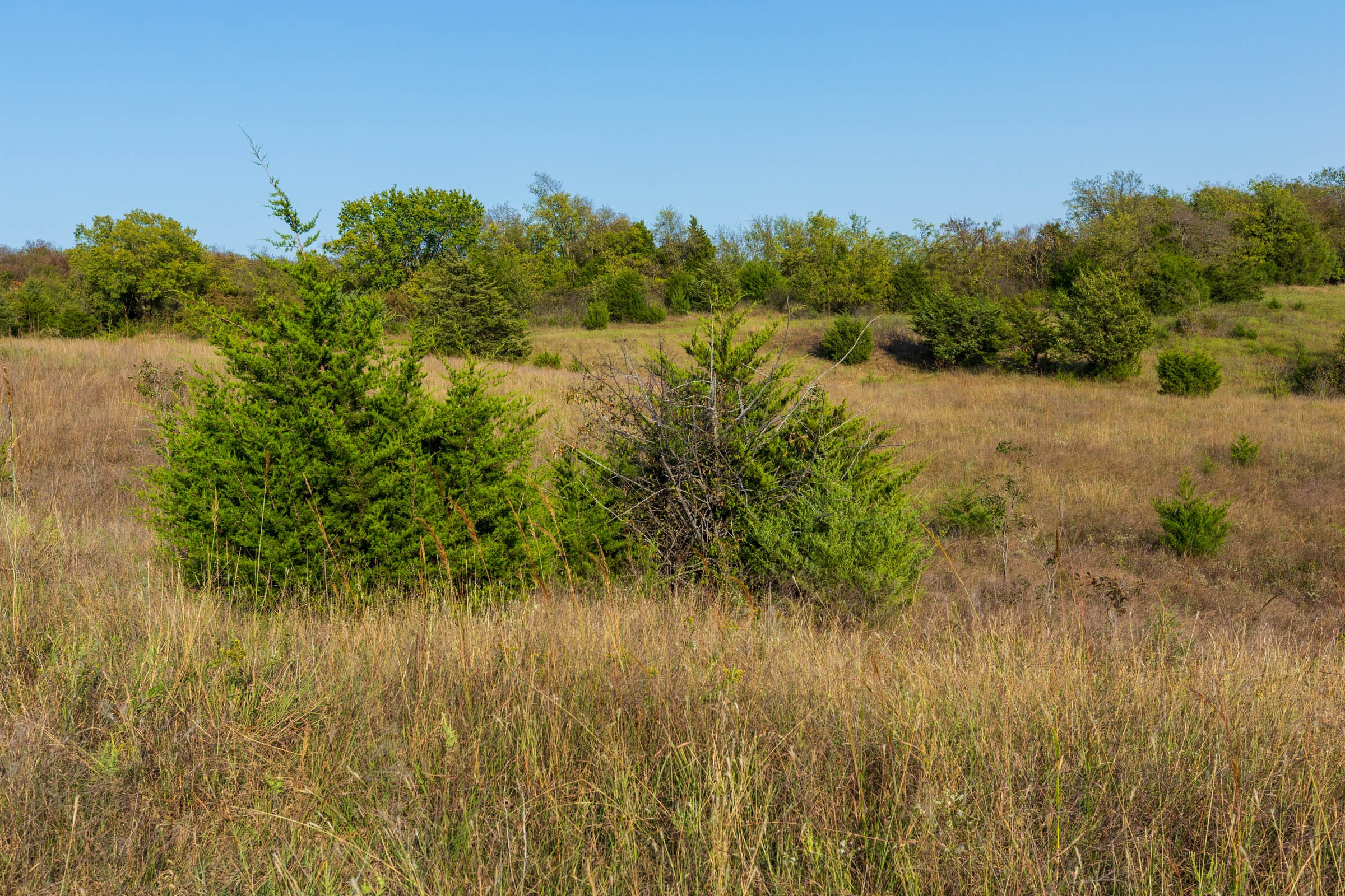 Canyon Creek Tract 10 photo 5