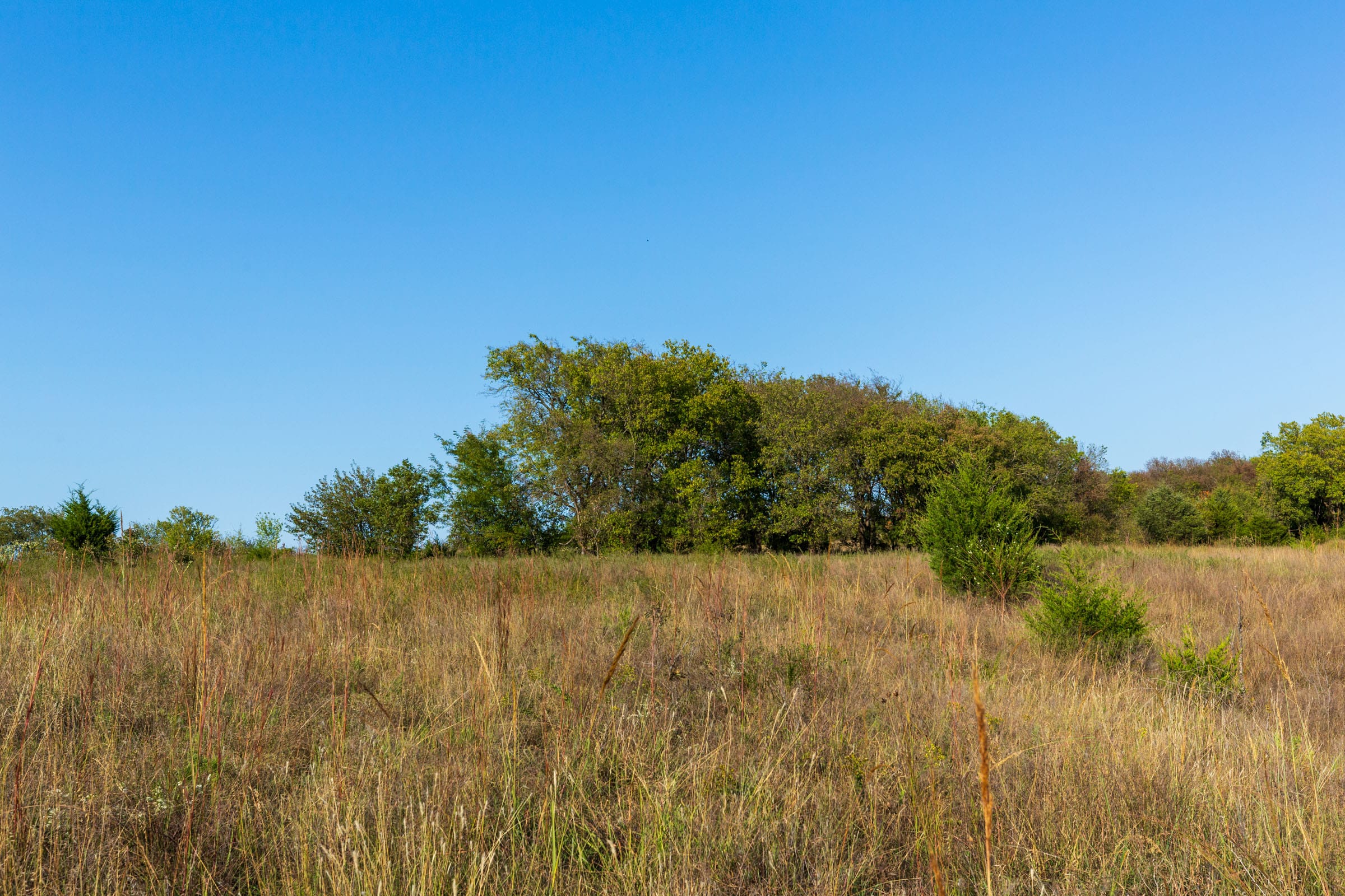 Canyon Creek Tract 10 photo 1