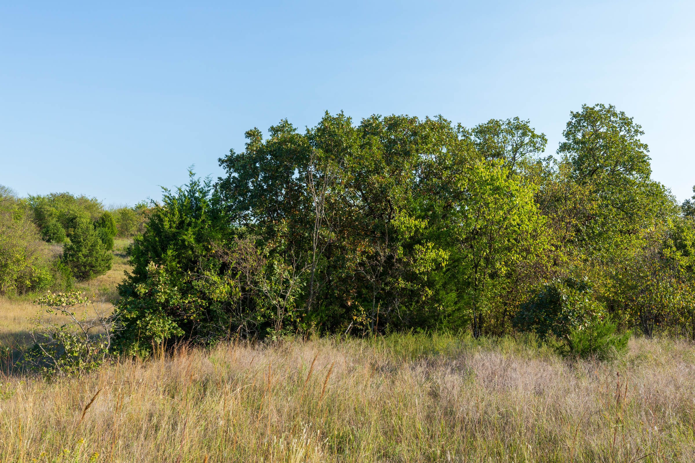 Canyon Creek Tract 10 photo 6