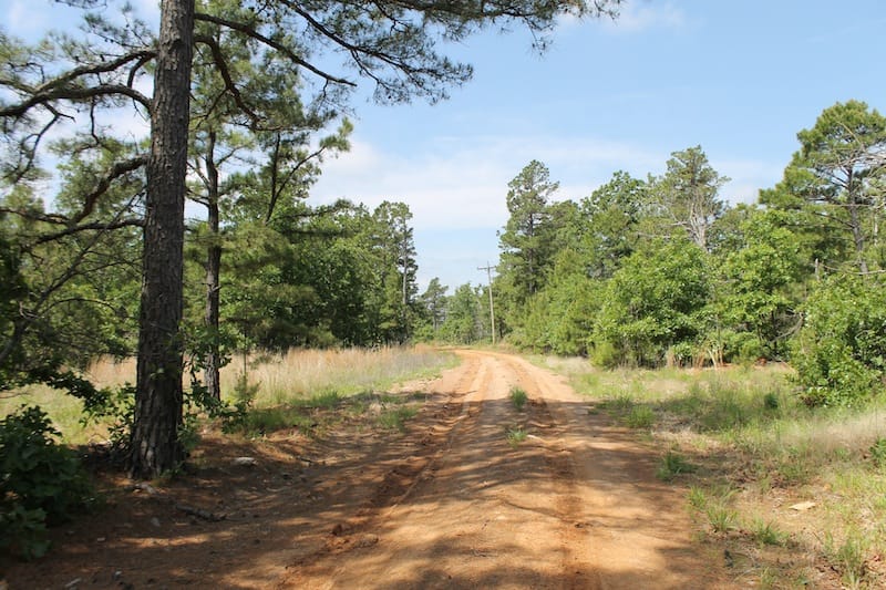 Indian Ridge – Phase II Tract 25 photo 2