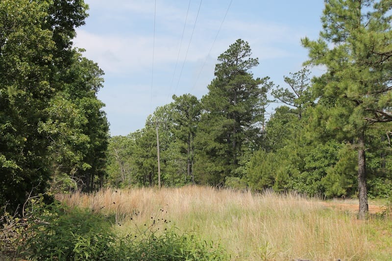 Indian Ridge – Phase II Tract 25 photo 3
