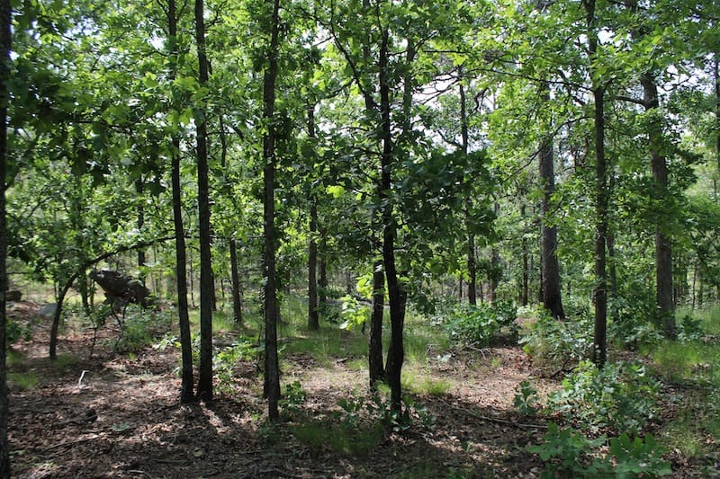 Indian Ridge – Phase II Tract 25 photo 4