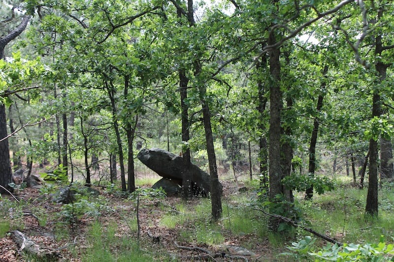 Indian Ridge – Phase II Tract 25 photo 5
